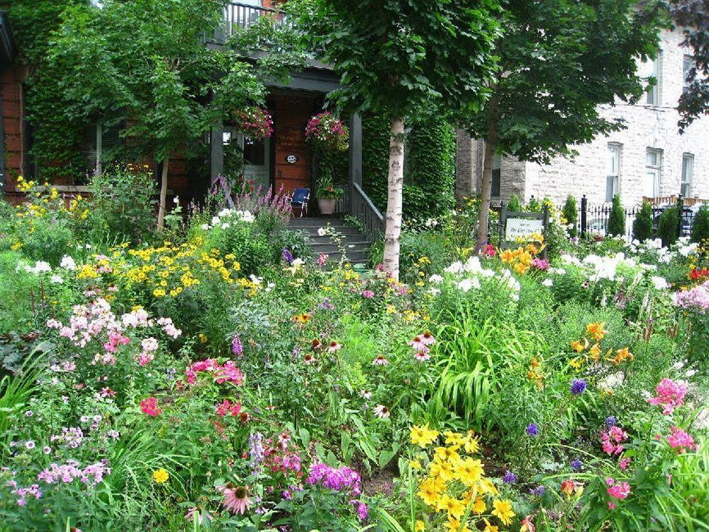 Auberge King Edward Bed And Breakfast Ottawa Exterior photo